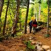 Mont Gosford